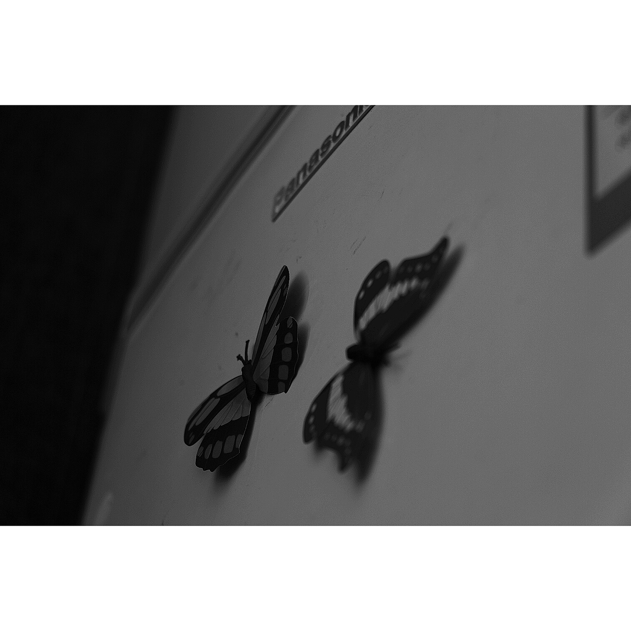 萬物屬靈 蠢蠢欲動（圖ZMjIzMDY2NDY0） - 人文/紀(jì)實攝影 - 站酷設(shè)計師溜直的一個彎原創(chuàng)素材 - 站酷ZCOOL