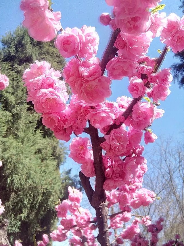 手机相册_风景（图ZMTAwMDEzNTI0） - 人文/纪实摄影 - 站酷设计师跑步向前原创素材 - 站酷ZCOOL