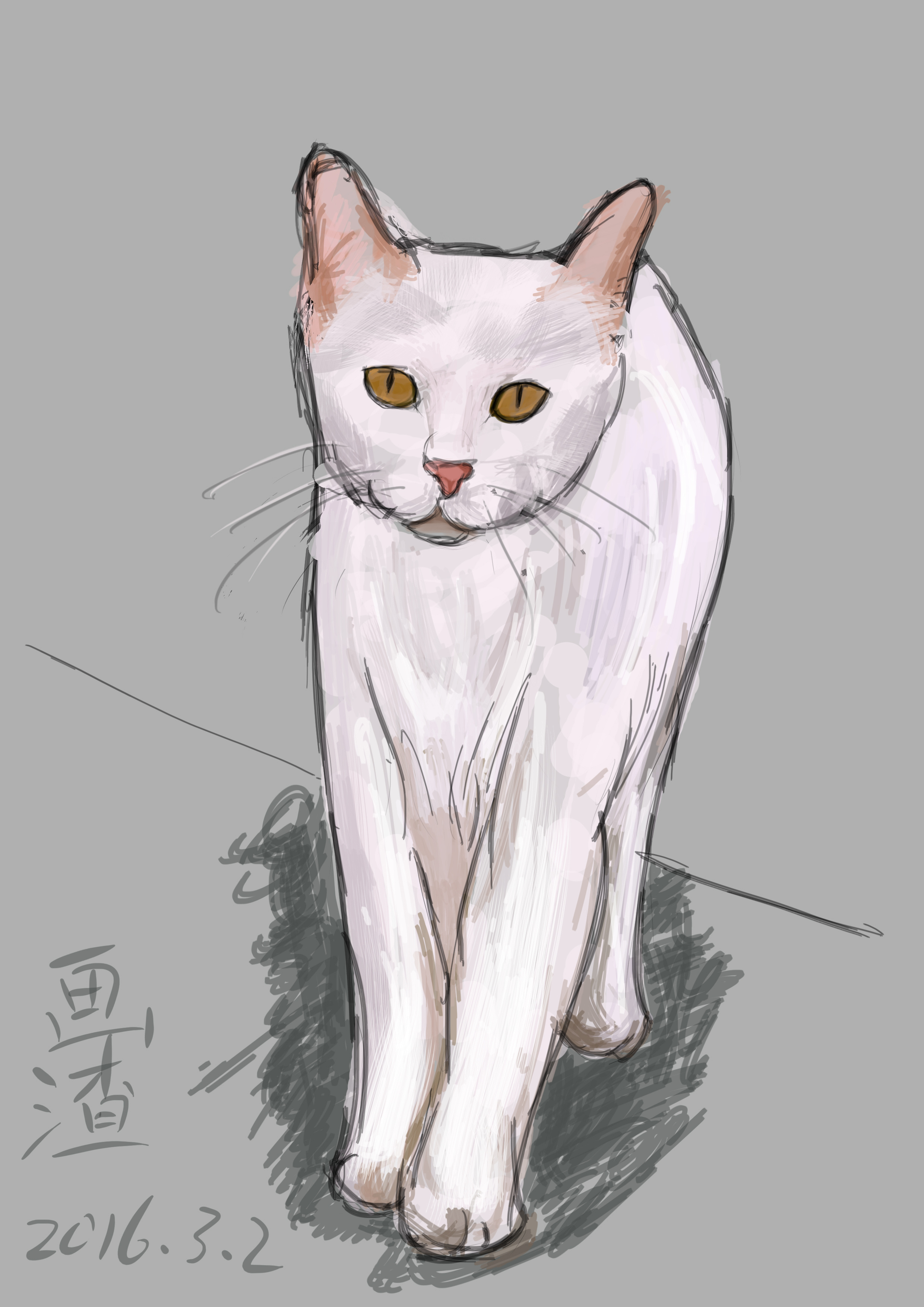 超萌小白猫简笔画画法图片步骤（2020抗击疫情儿童绘画） - 有点网 - 好手艺