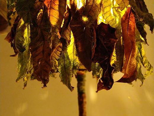 空间改造，艺术装置