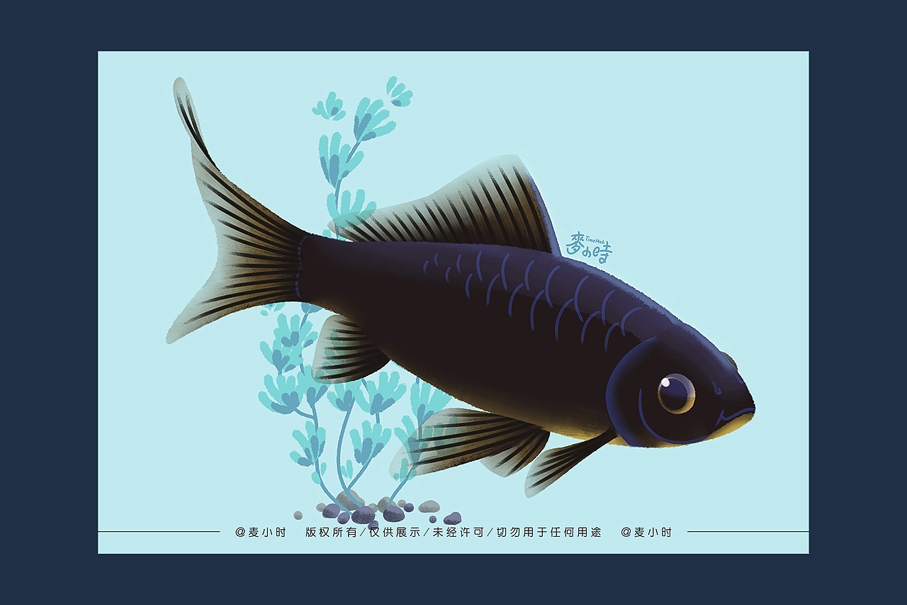 金鱼系列【一】草金（图ZMjE5MjgzOTMy） - 创作习作 - 站酷设计师麦小时原创素材 - 站酷ZCOOL