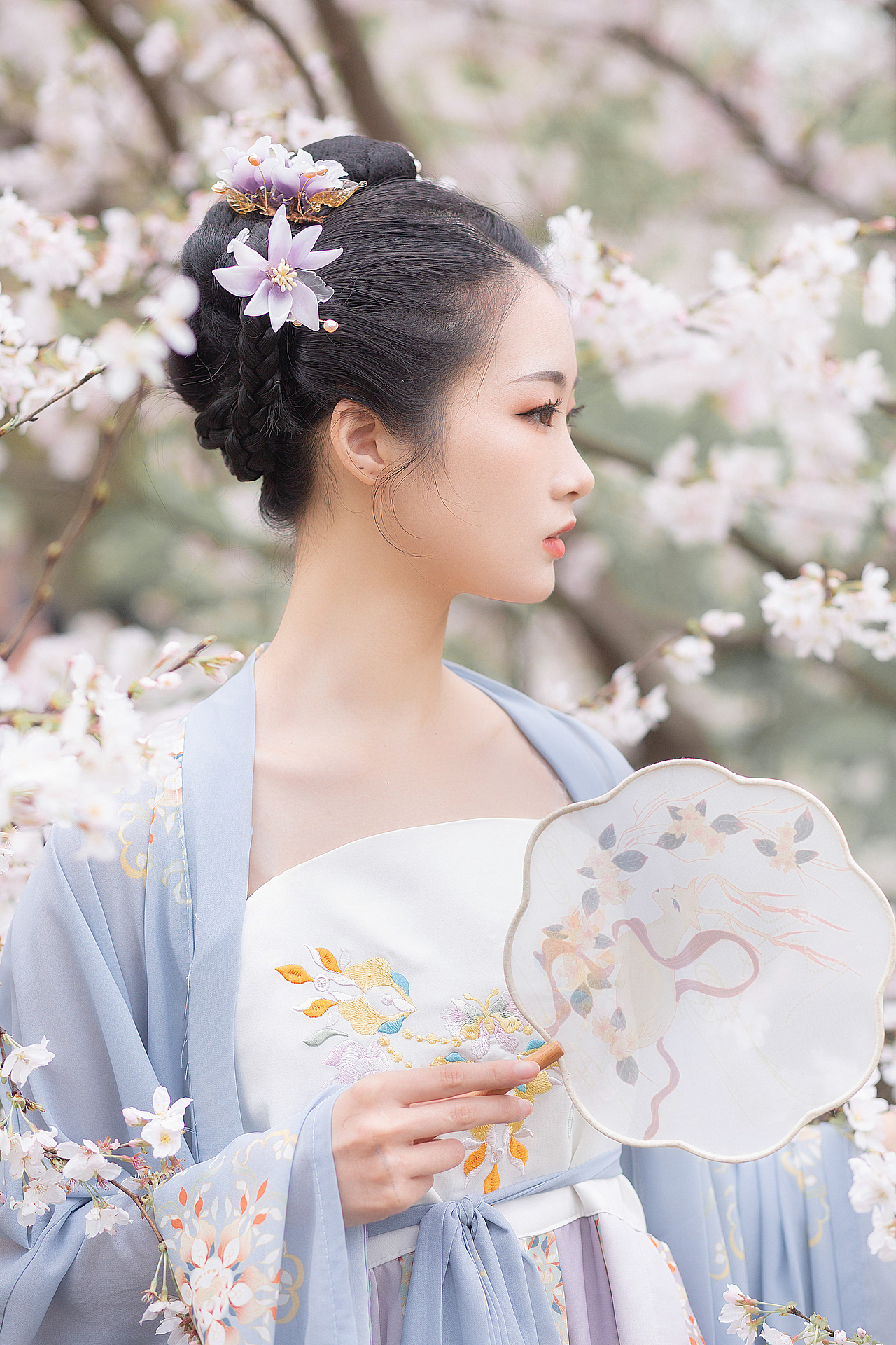 樱花汉服少女 蓝（图ZMjQ3NTM0MDAw） - 人像摄影 - 站酷设计师比克小魔王QAQ原创素材 - 站酷ZCOOL