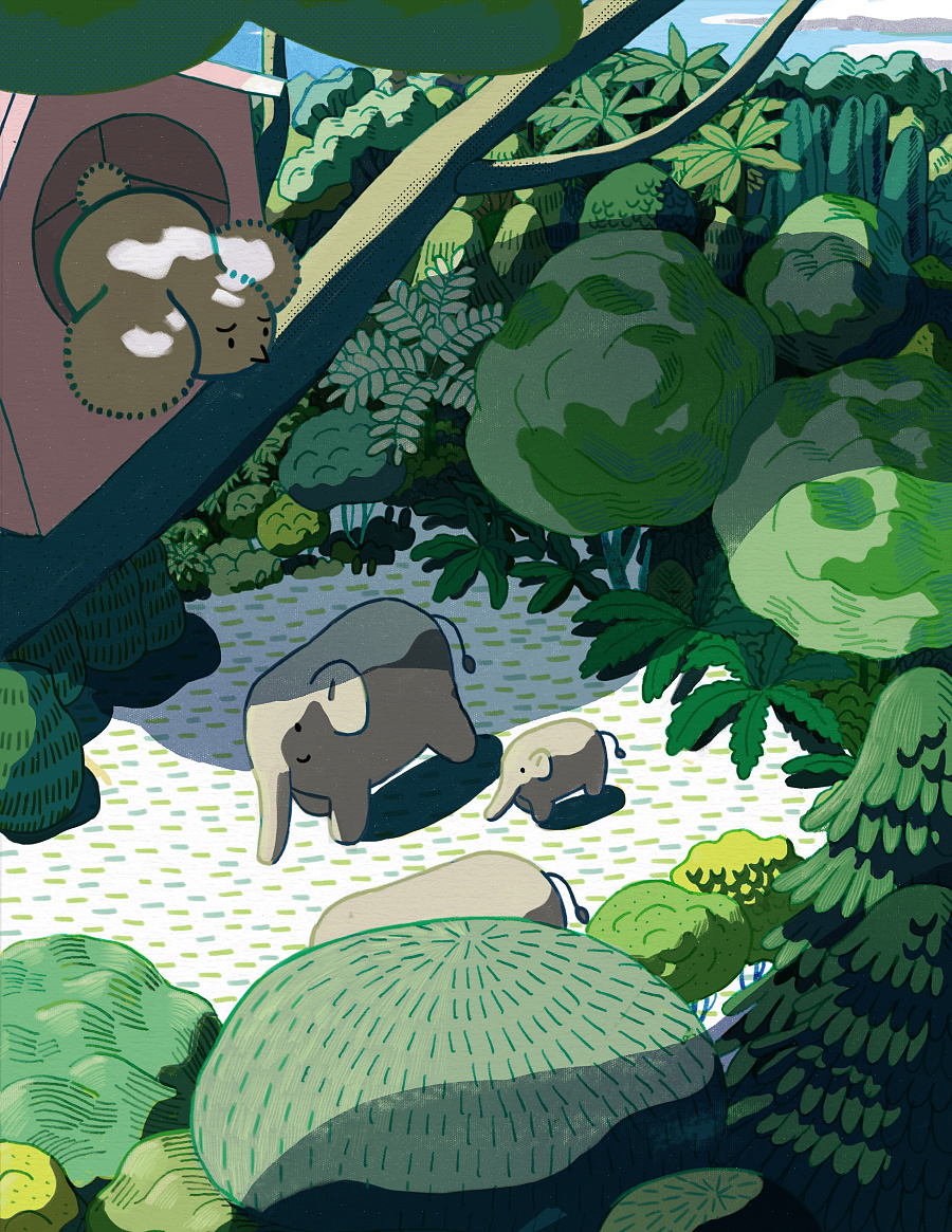 童书中的几页插图