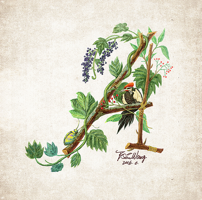 花鸟插画字体设计（1）（图ZNTI2MDgxMDg=） - 商业插画 - 站酷设计师王比森bsen原创素材 - 站酷ZCOOL