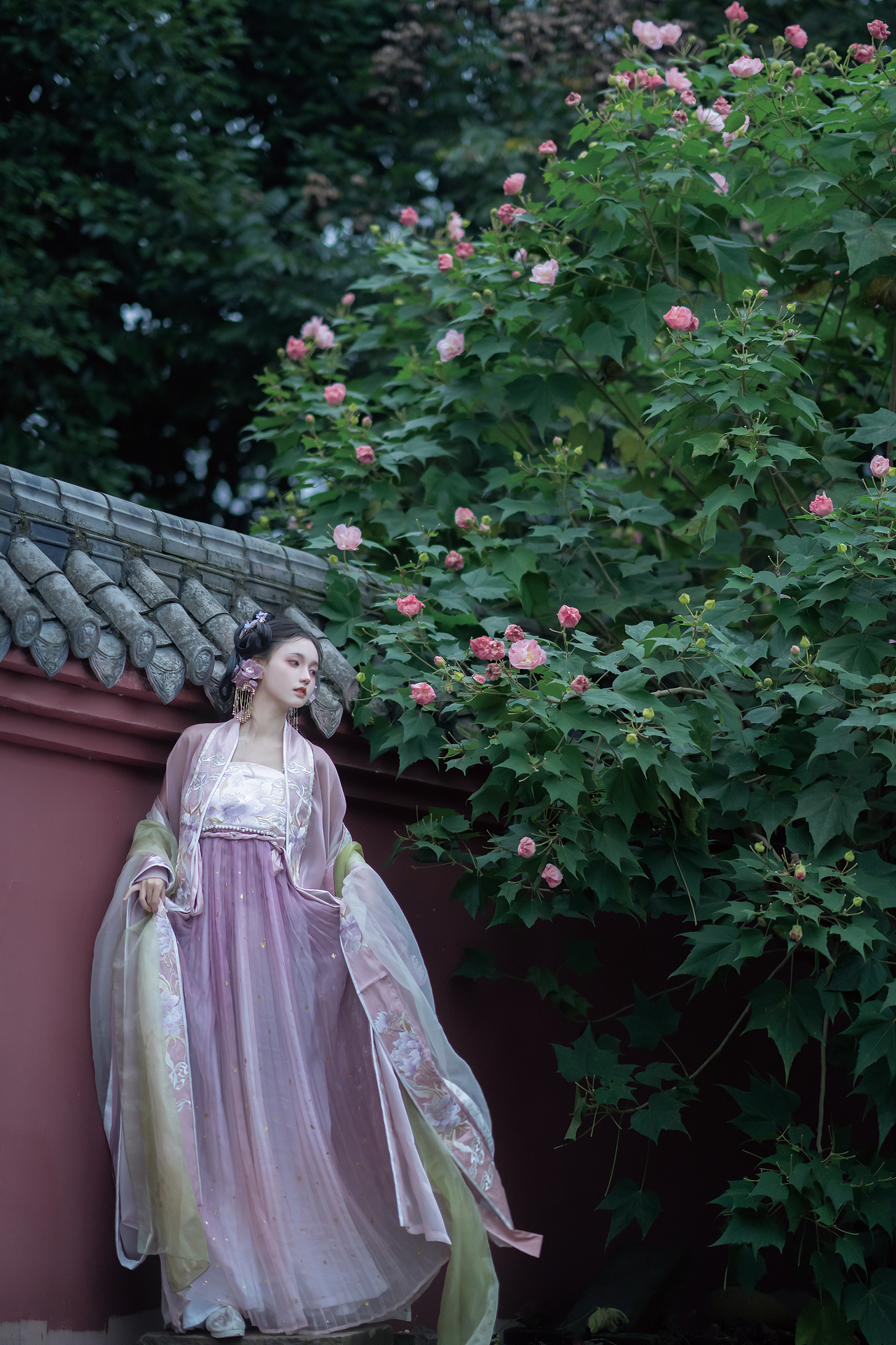 【一渠芙蓉】（图ZMjgxNzcxMDM2） - 人像摄影 - 站酷设计师小艾野原创素材 - 站酷ZCOOL