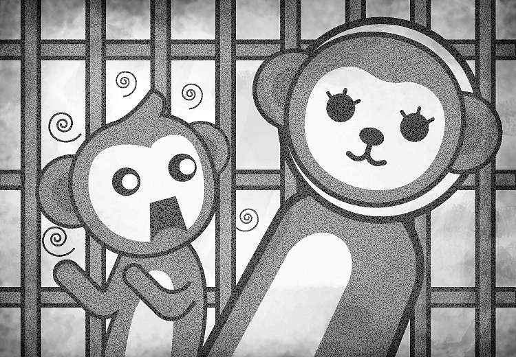 《哈洛的恒河猴试验》