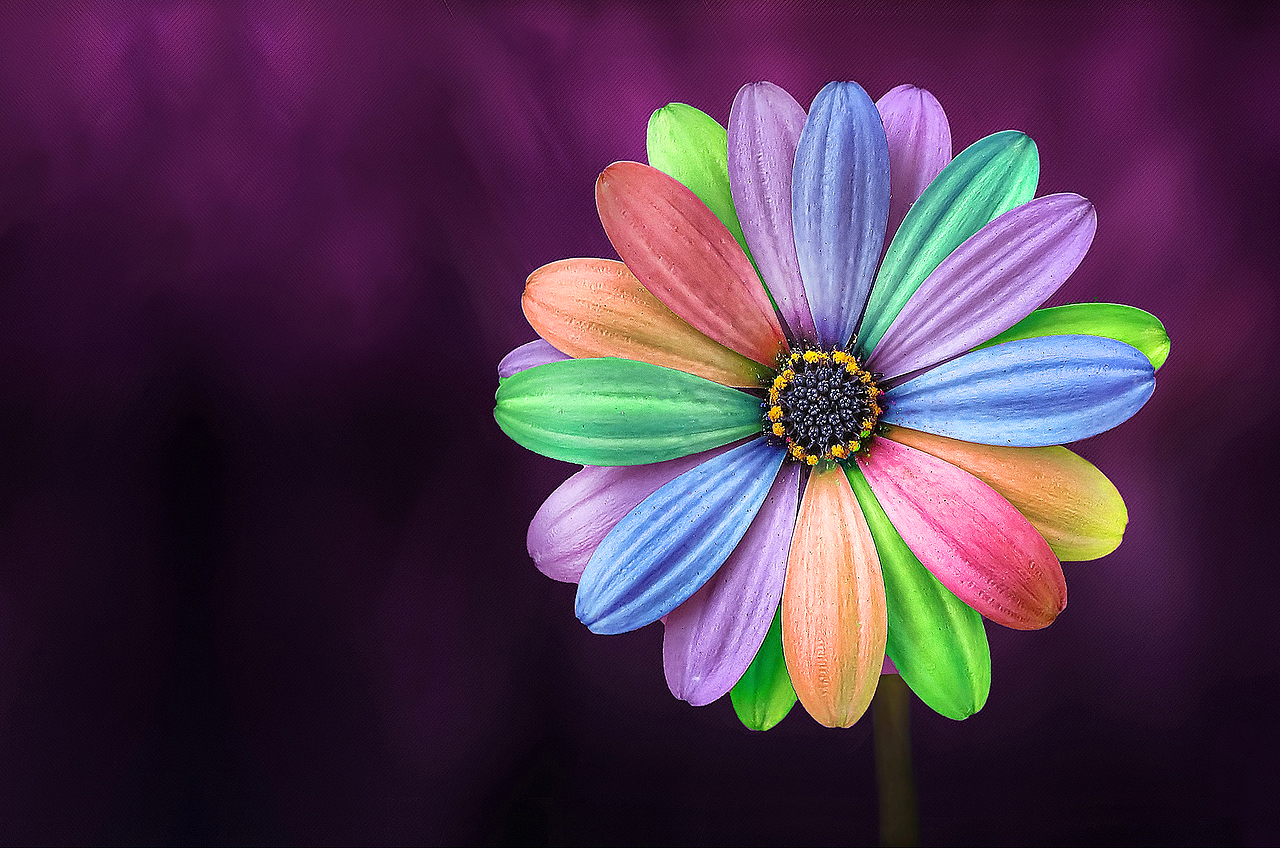 个人作品练习集锦