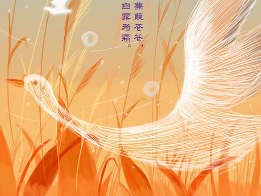 节气 节日 海报