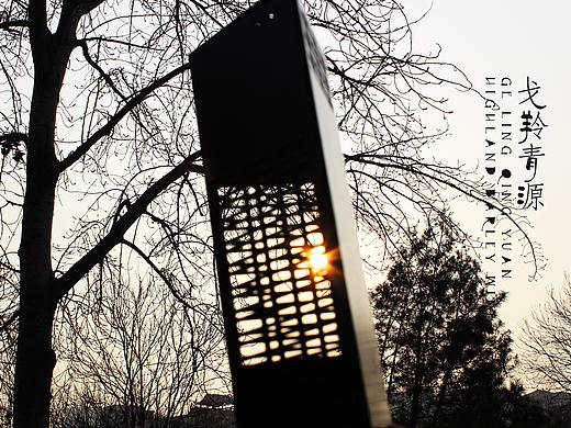 《戈羚青源》青稞酒包装