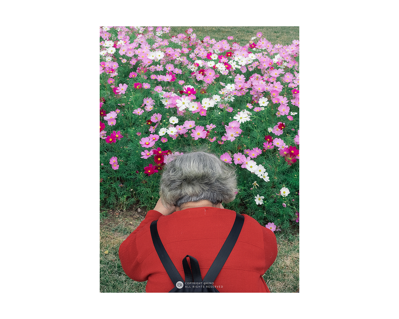 2021 | 手机摄影年终总结