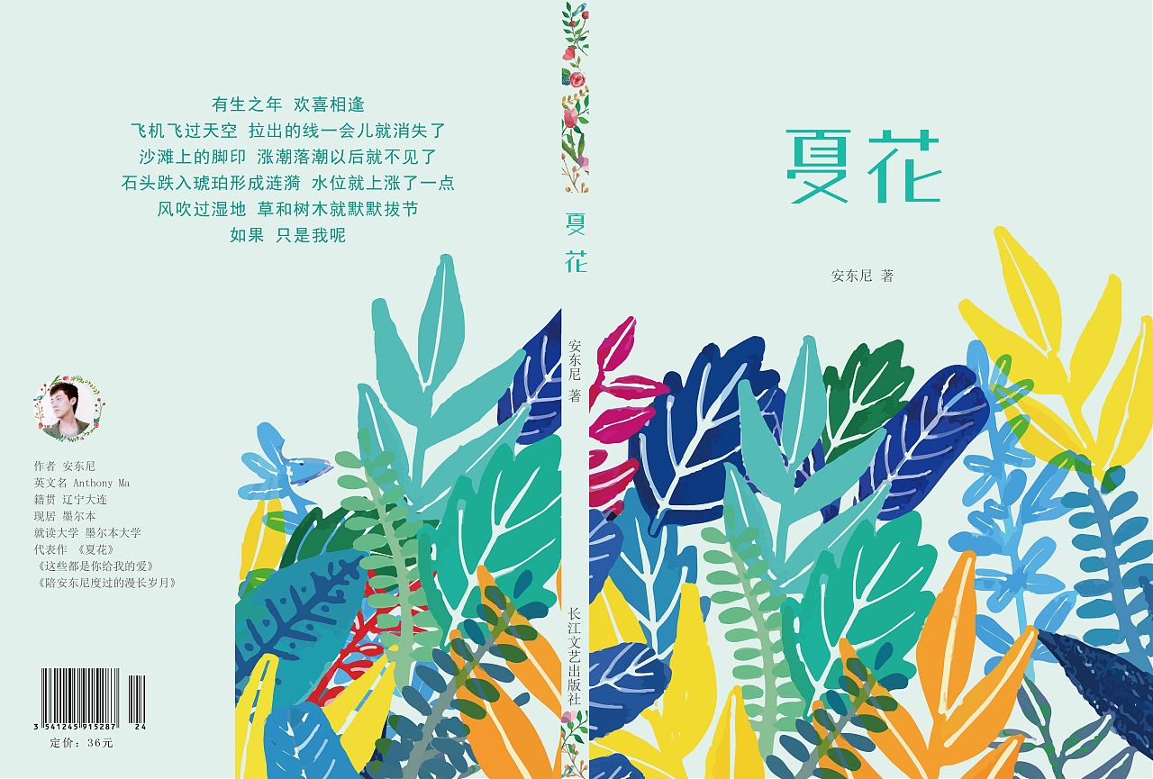 《夏花》绘本平面设计