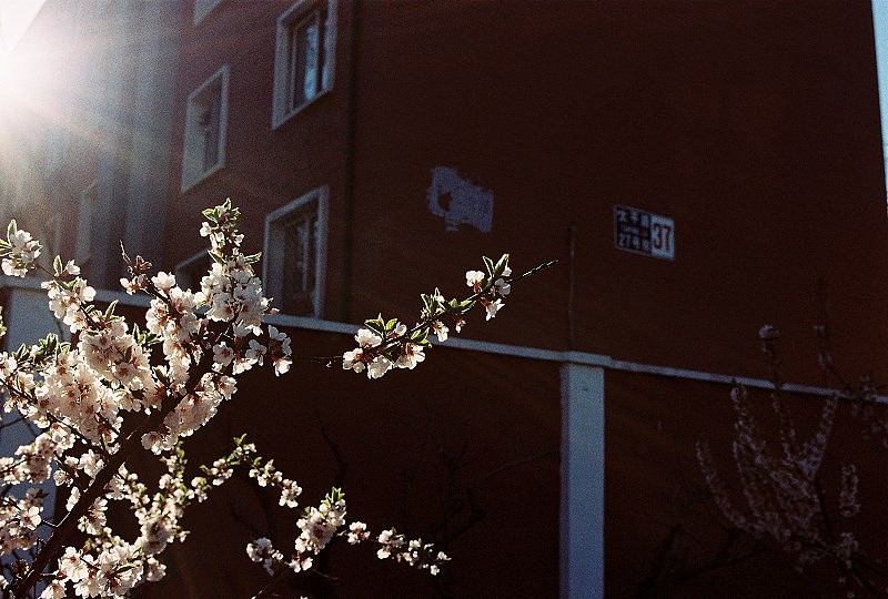 个人练习作品杂集