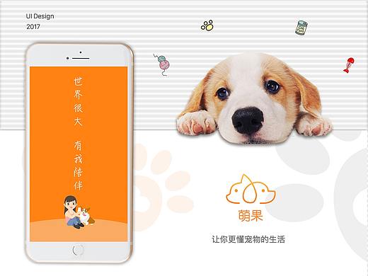 （UI）萌果App（宠物）