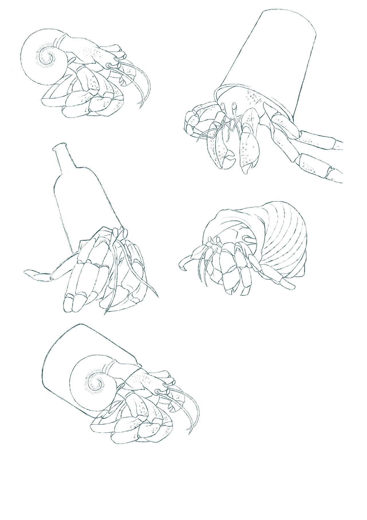 海洋便利店（图ZMTU2Mjc2MTQ0） - 商业插画 - 站酷设计师柿子辣椒原创素材 - 站酷ZCOOL