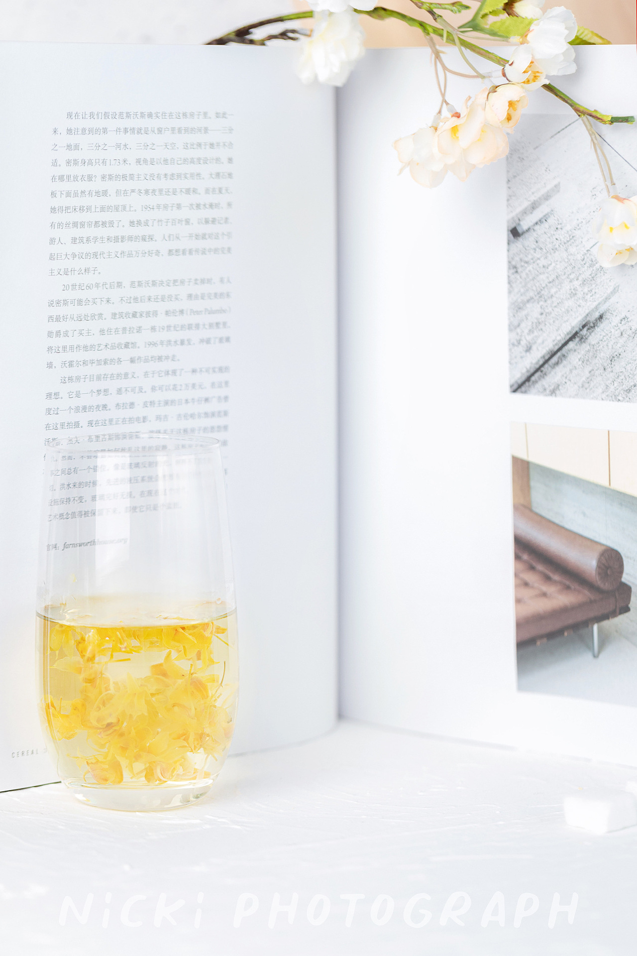 丨石斛花丨冲泡展示（图ZMTg3OTkzNDIw） - 产品摄影 - 站酷设计师babynicki原创素材 - 站酷ZCOOL