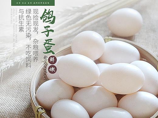 鸽子蛋详情
