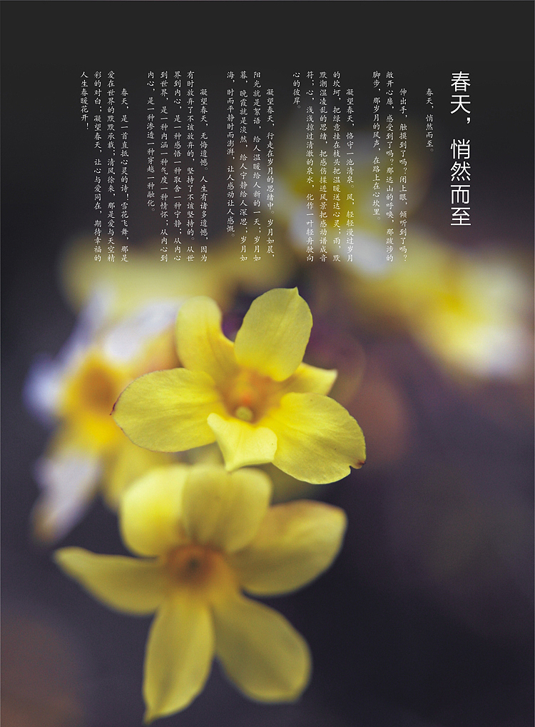 春之源食品印象杂志2013年7月刊（图ZMTAyMTkwNzY=） - 书籍/画册 - 站酷设计师恐狼制造原创素材 - 站酷ZCOOL