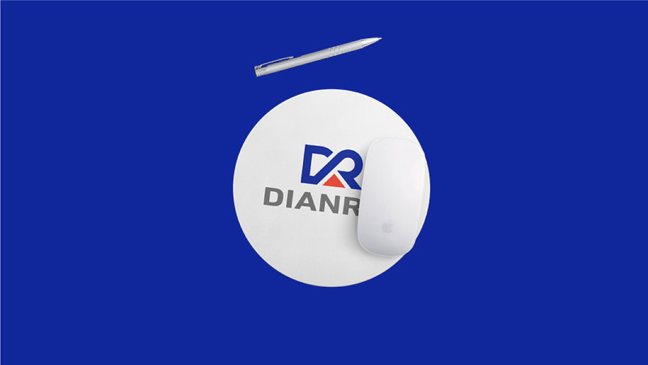 DIANRUI品牌设计提案及延展
