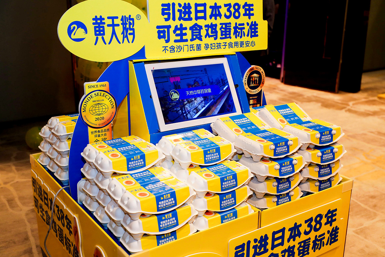 黃天鵝可生食雞蛋怎么做溏心蛋？（圖ZMjMwNTUxNDA0） - 其他 - 站酷設(shè)計師fangxiaoxin745原創(chuàng)素材 - 站酷ZCOOL