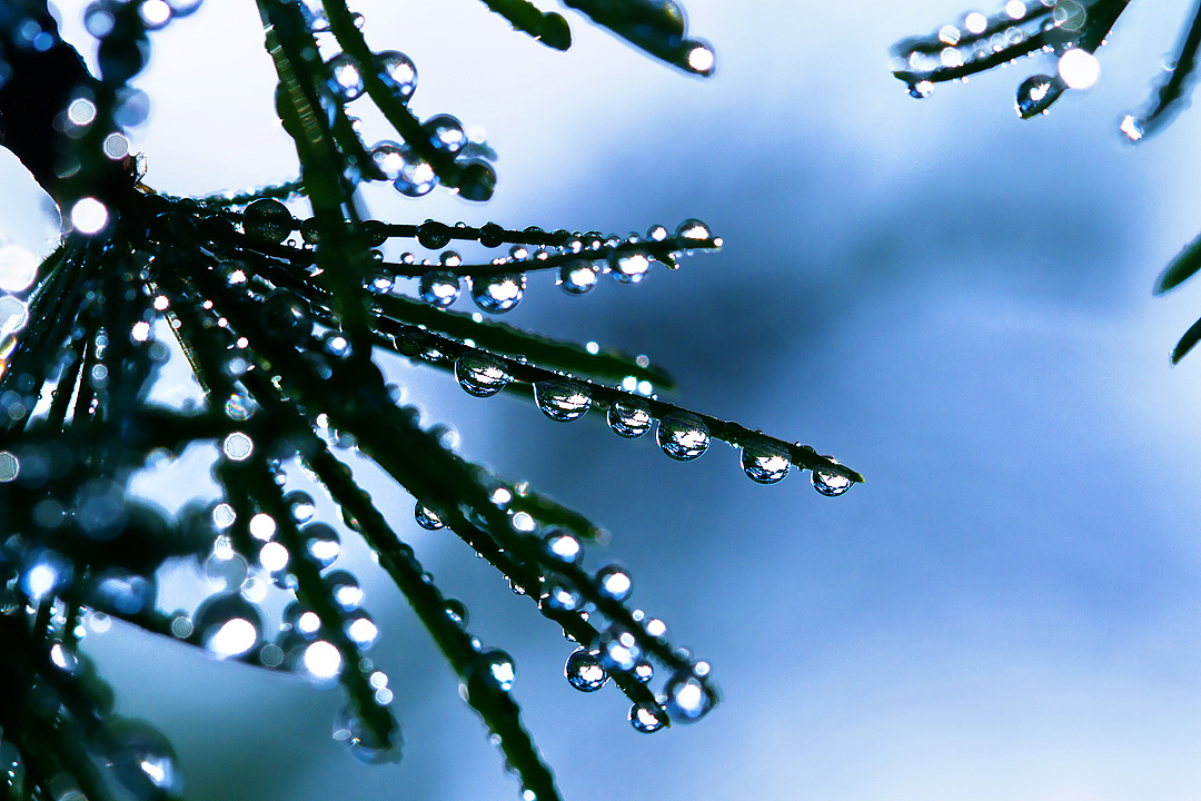 水珠儿（图ZMjkxNjk1OTI=） - 其他摄影 - 站酷设计师amhx原创素材 - 站酷ZCOOL