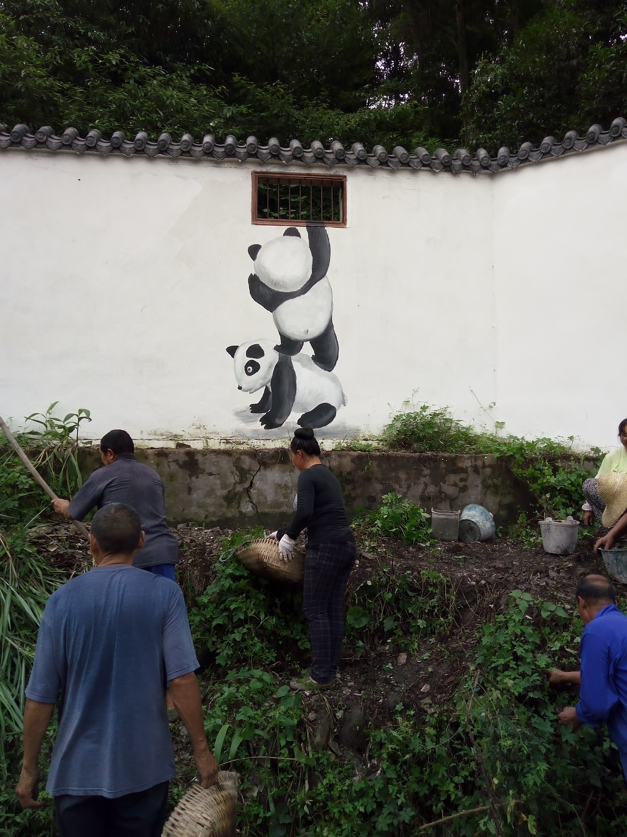 新农村墙绘,乡村文化墙,社区墙绘,社区文化墙