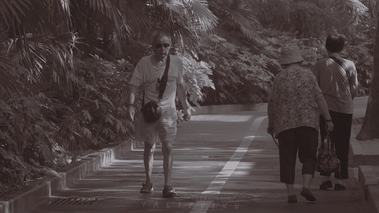 只想停住风.🌾