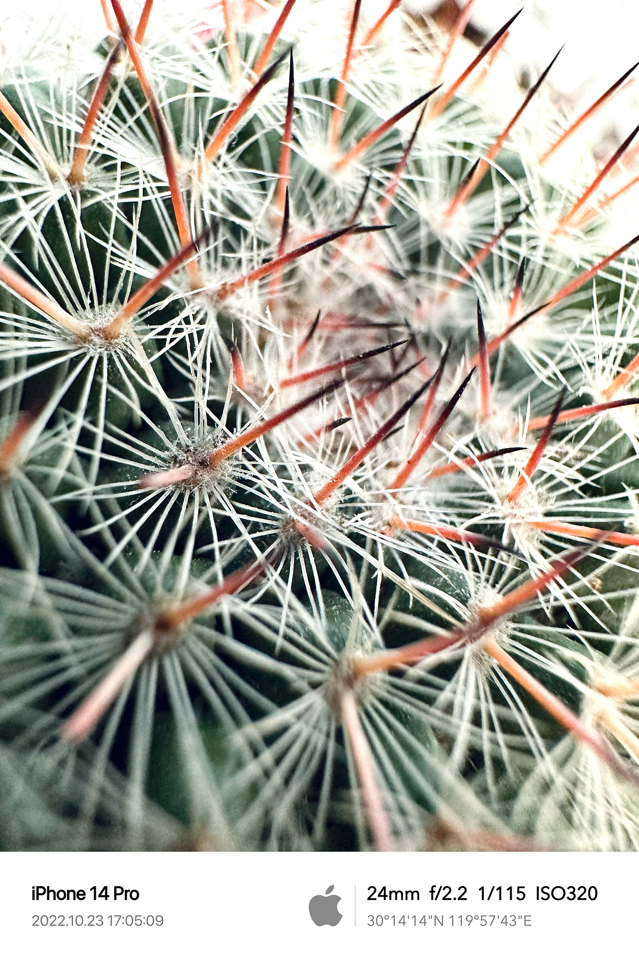 Clint手机摄影/生活观察2022Q4（图ZMzQ1ODI5MzQ4） - 人文/纪实摄影 - 站酷设计师Clint克林原创素材 - 站酷ZCOOL