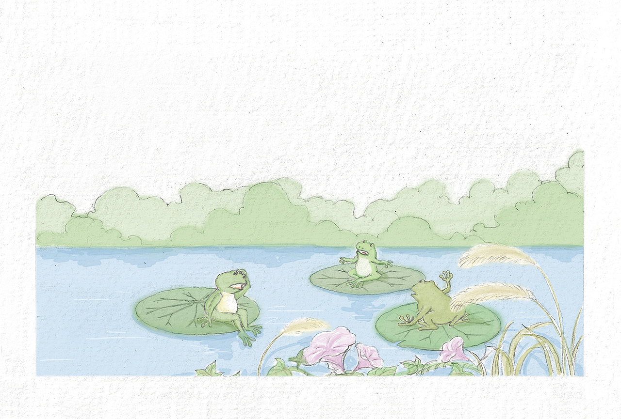 青蛙弟弟与蛤蟆大哥