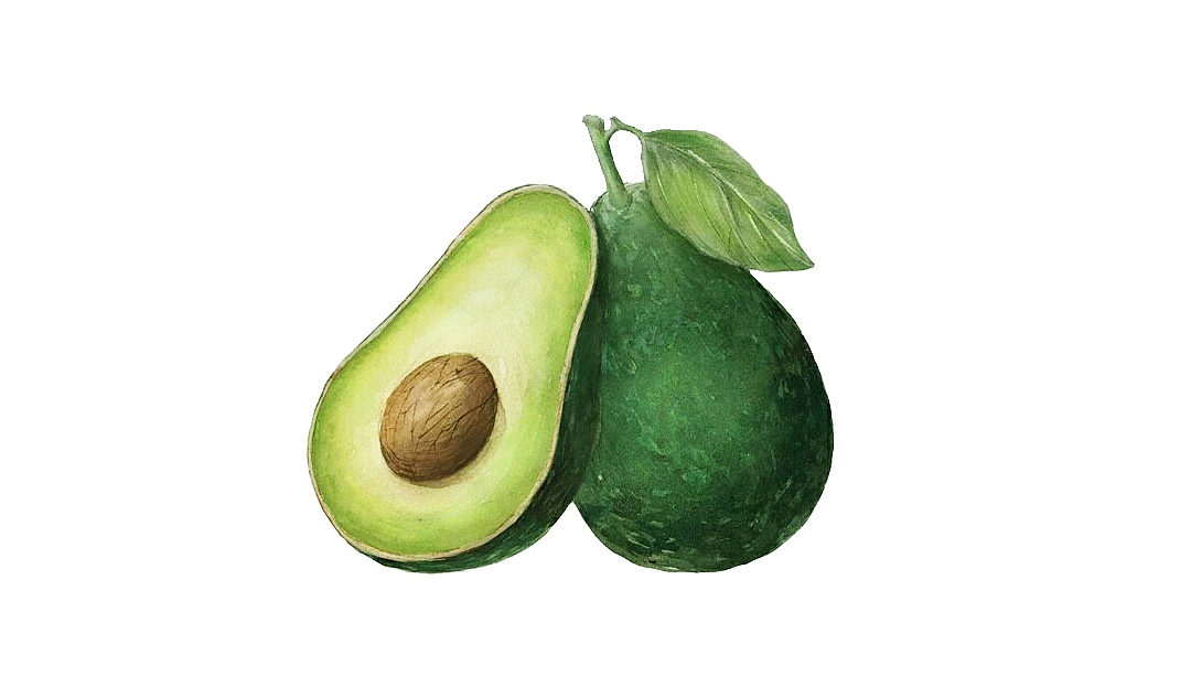 手绘合集（图ZMTc5MTY3Mzcy） - 商业插画 - 站酷设计师鱼鱼的圈子原创素材 - 站酷ZCOOL