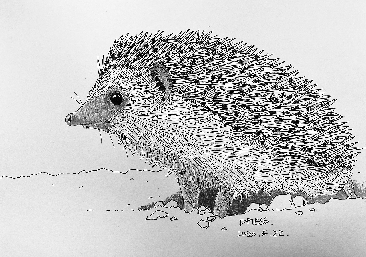 手绘中性笔照片速写