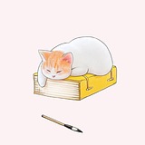 Dabai_大白的头像