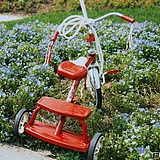 王叮叮的馒头铺子的头像
