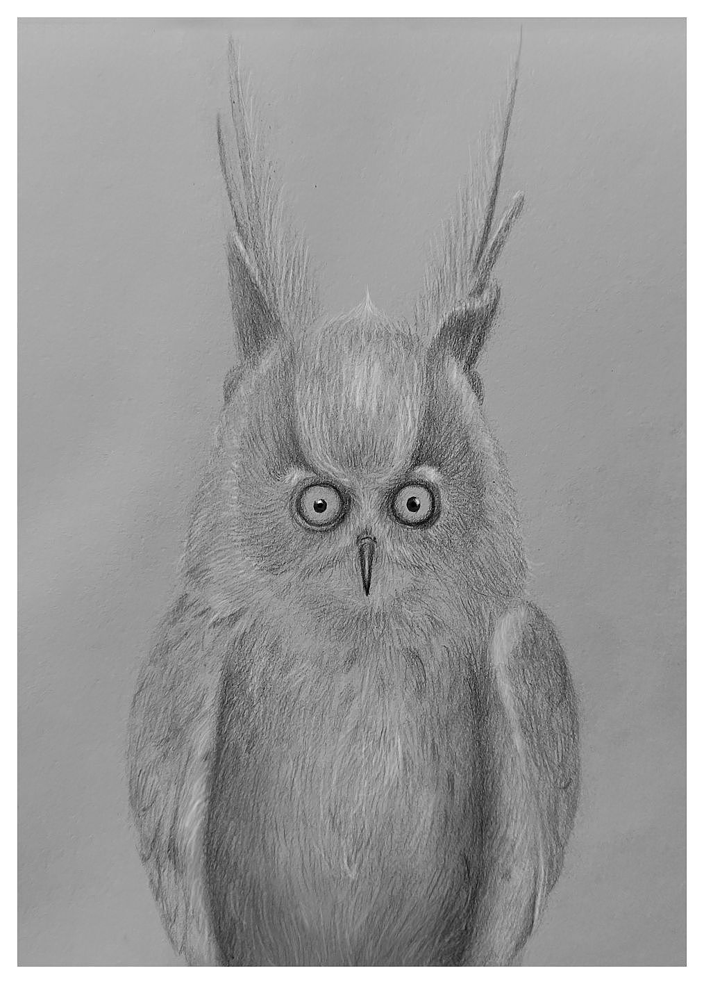 猫头鹰（图ZMzI3MDAxMTQw） - 儿童插画 - 站酷设计师alphatoto原创素材 - 站酷ZCOOL