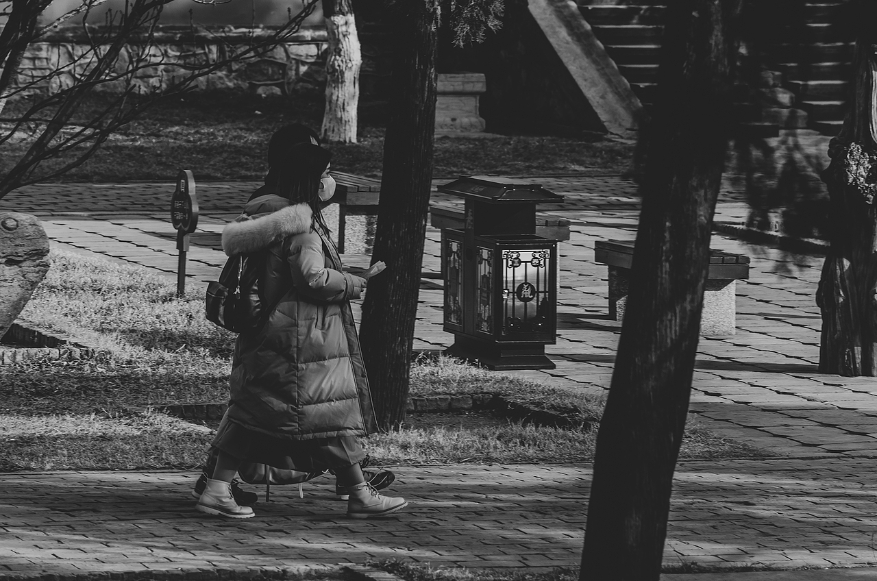 生活是一趟孤独的旅程。