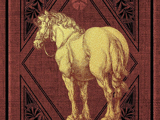 2021年部分插画合集 | 非无君蟹