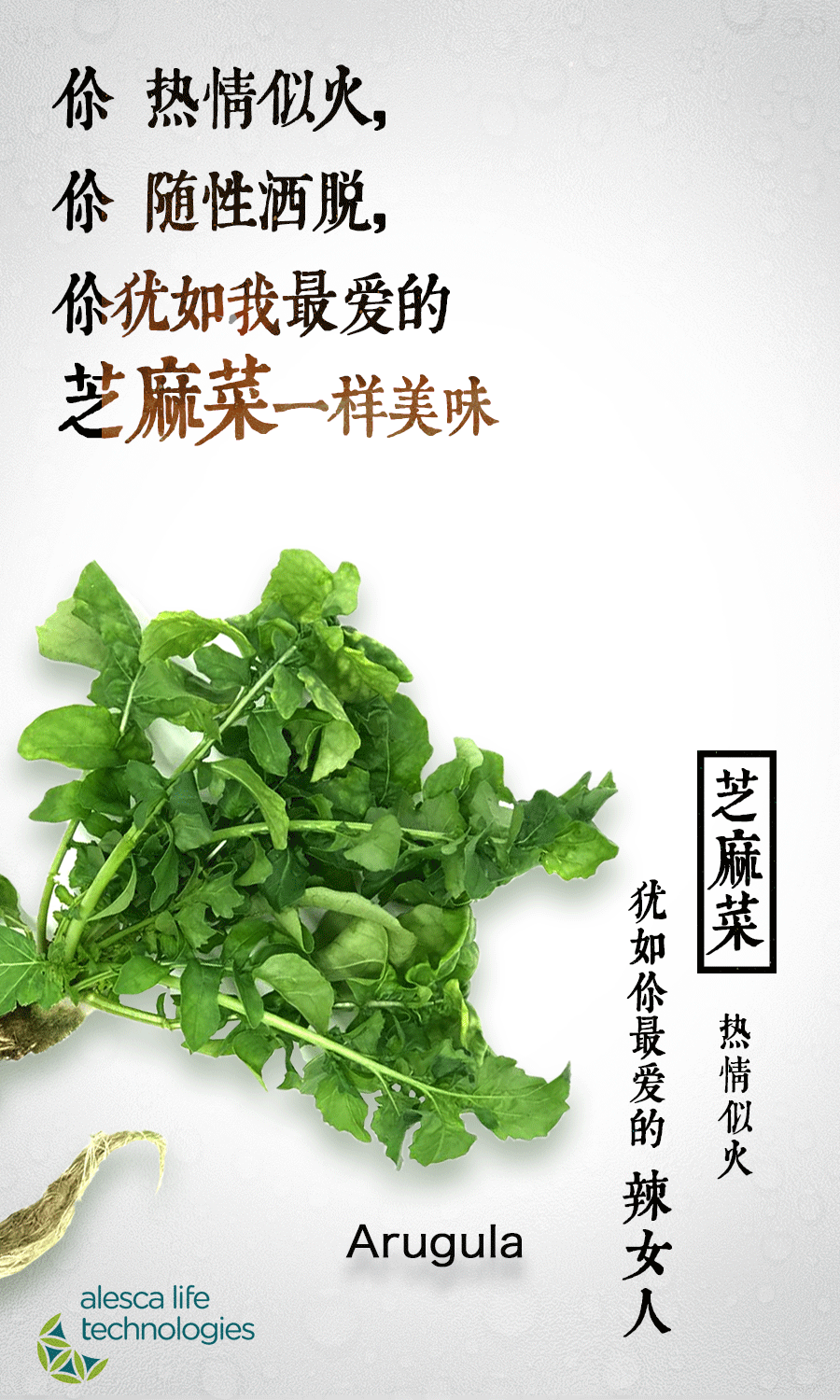 爱勒康快闪图设计（图ZODI1NTE4MTI=） - 品牌 - 站酷设计师咸鱼炖菠菜原创素材 - 站酷ZCOOL