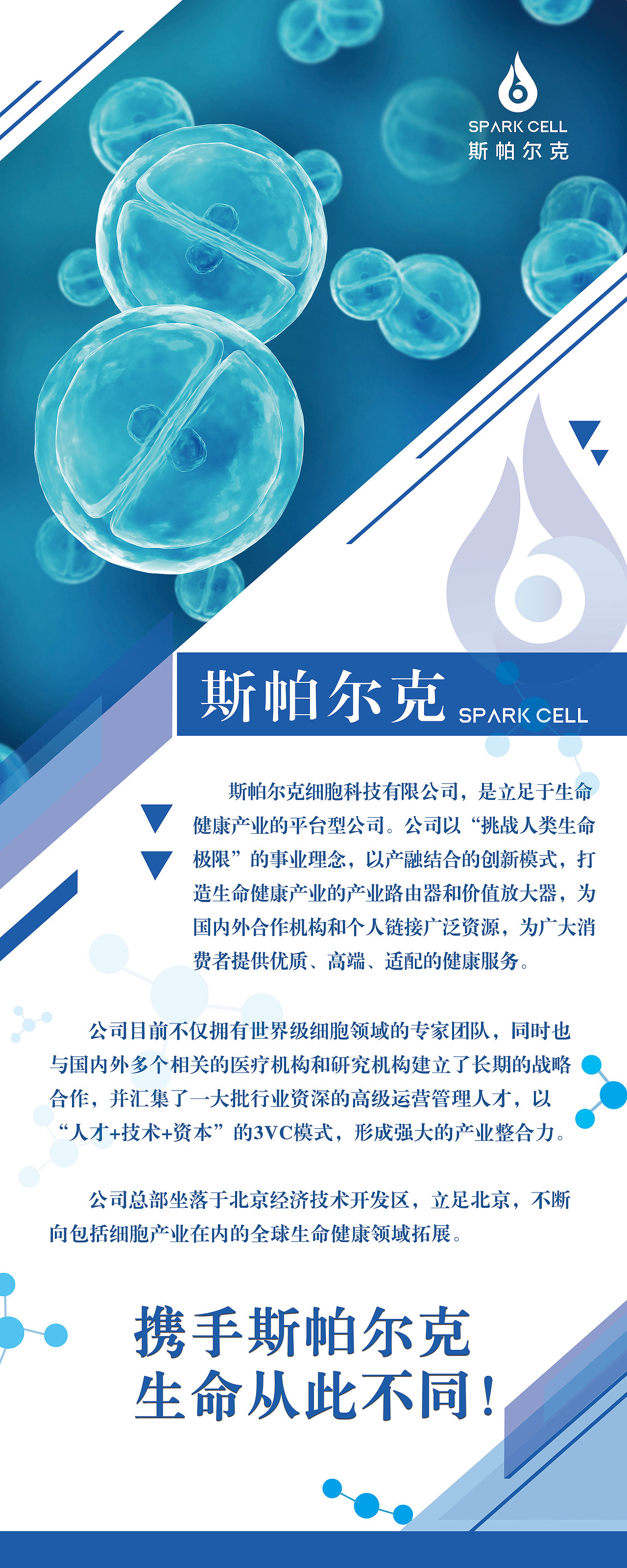 公司介绍易拉宝