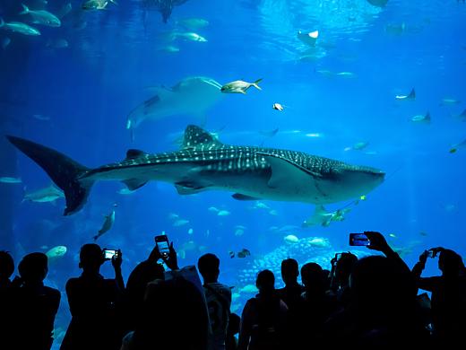 珠海长隆海洋王国