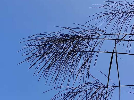 自然风光——随拍