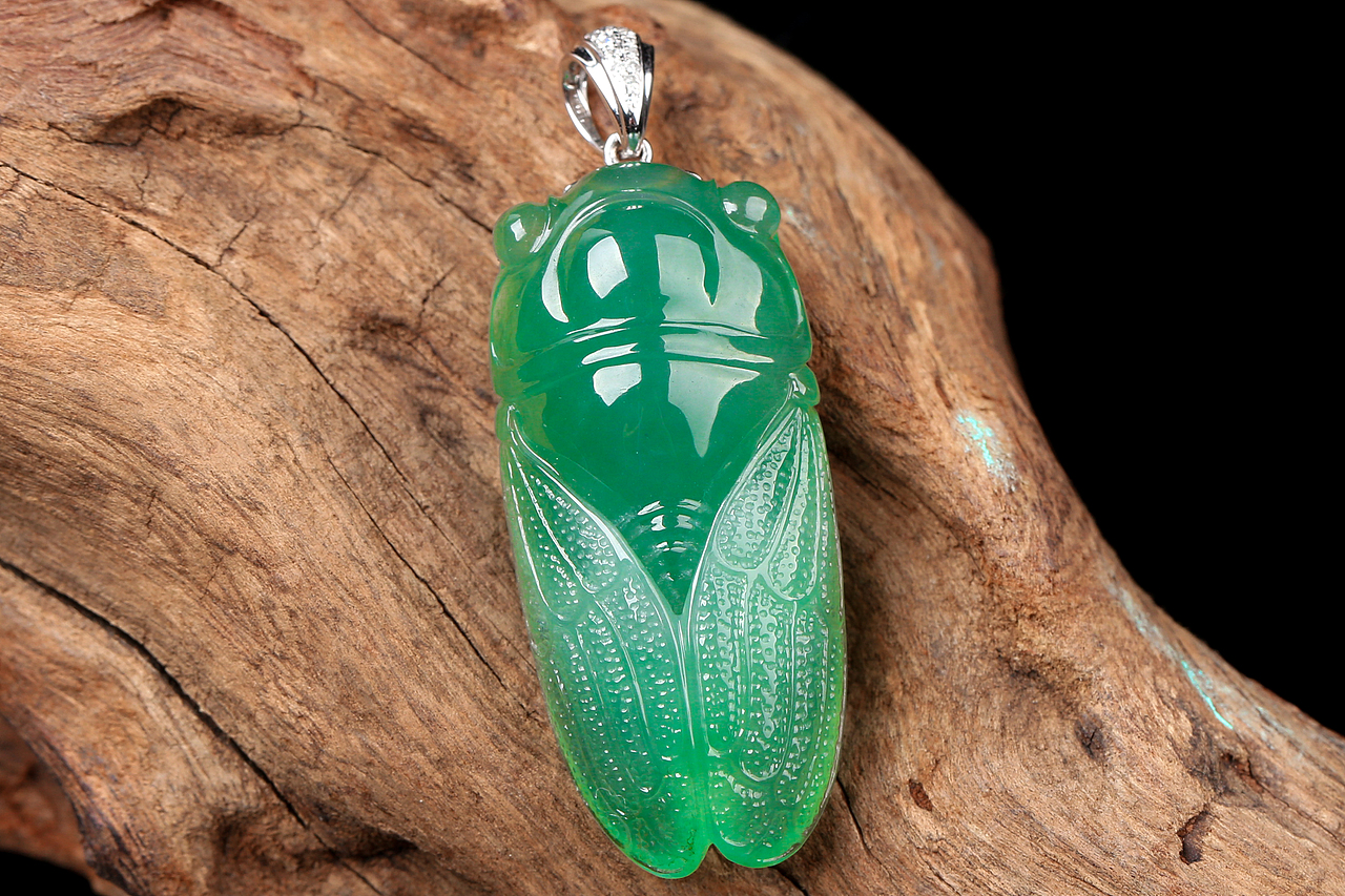 翡翠摄影 一鸣惊人