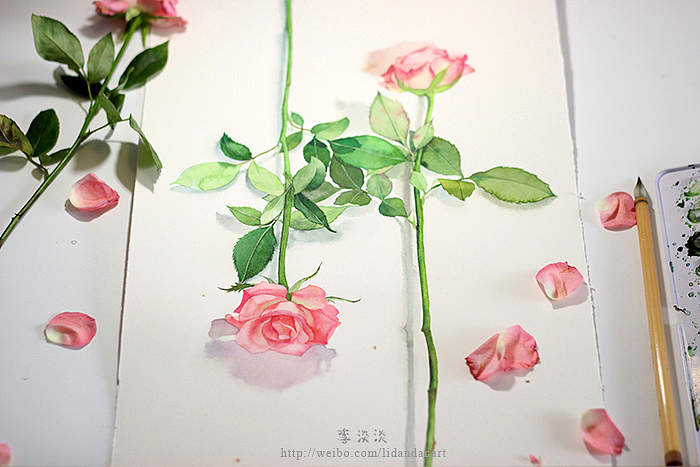 如植物般自由生长（图ZNzk0NTkzMzI=） - 绘画 - 站酷设计师李淡淡DAN原创素材 - 站酷ZCOOL