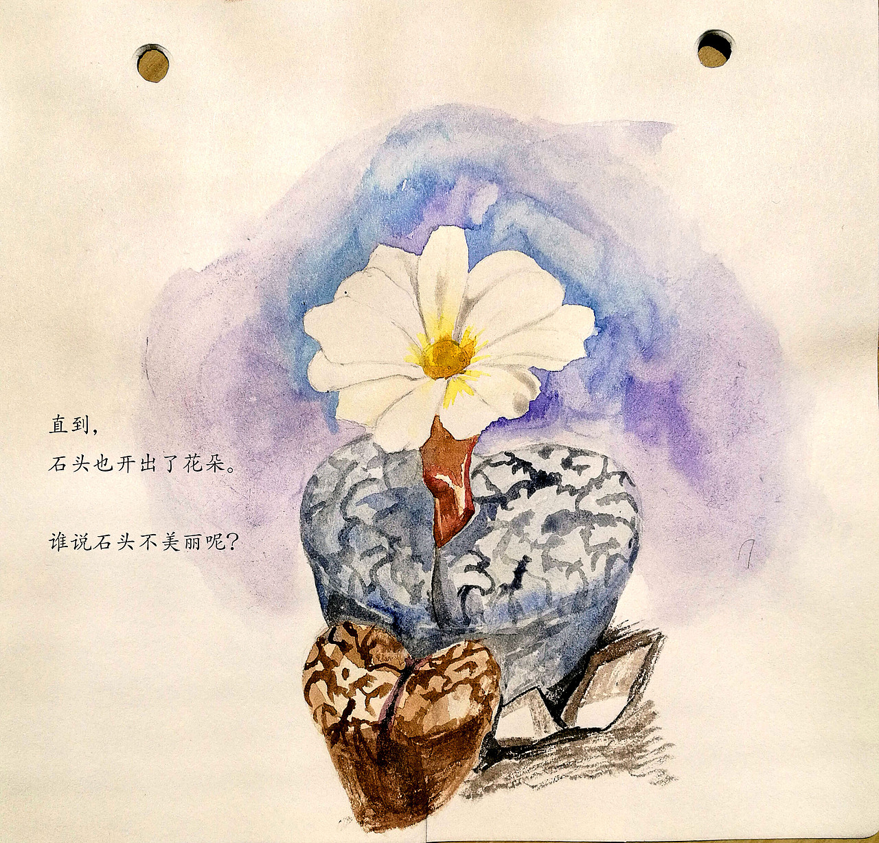 静待花开小故事