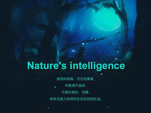 大自然的灵动