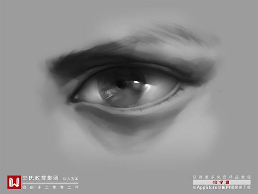 五官系列丨浓眉大眼丨五官怎么画丨PS教程