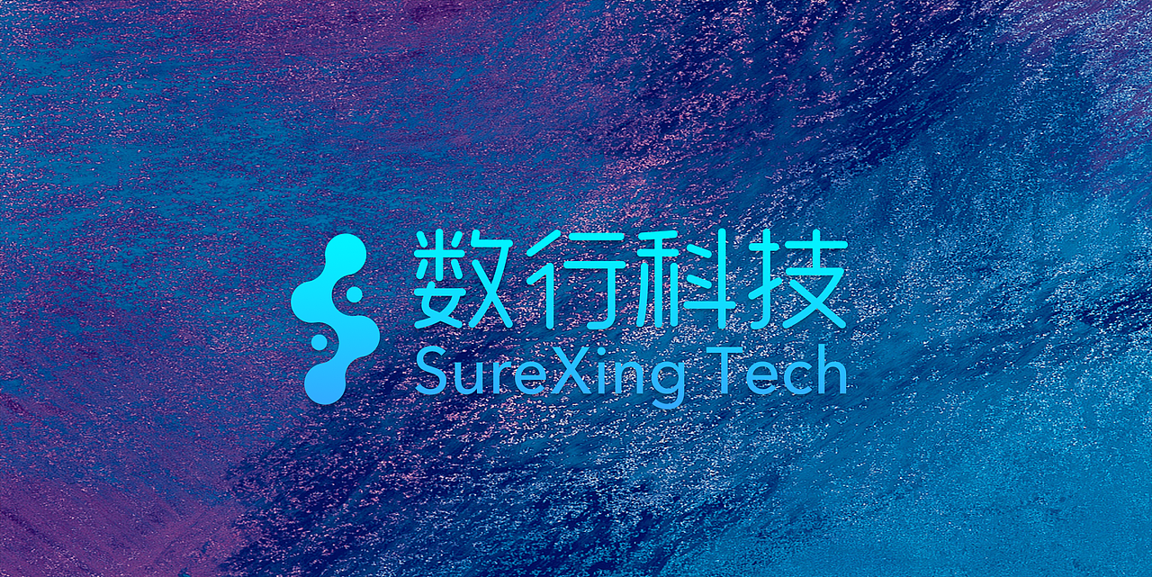 北京数行科技有限公司（图ZNzg3NDY0ODg=） - Logo - 站酷设计师GENIZA原创素材 - 站酷ZCOOL