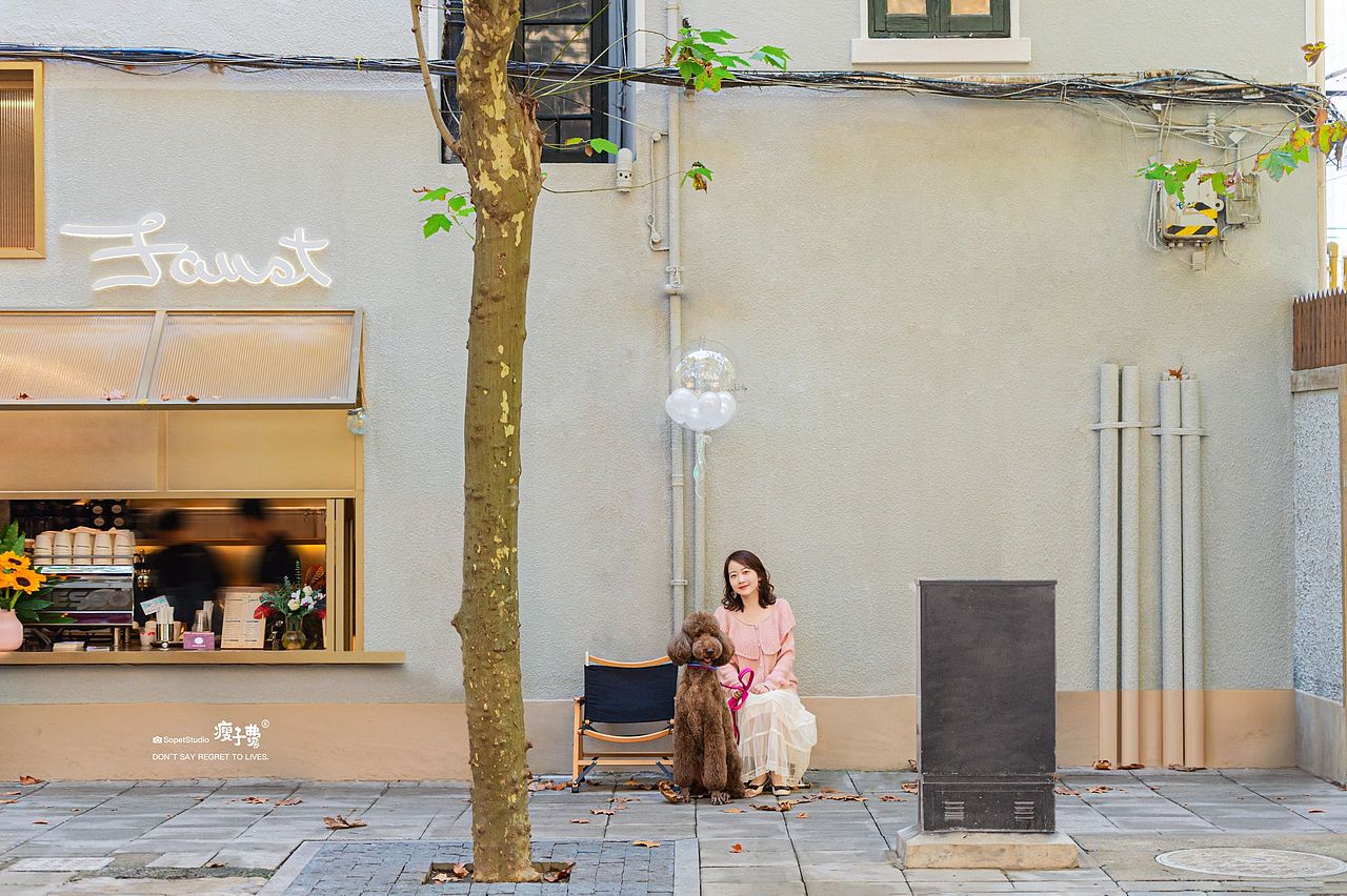 还记得武康大楼旁边的法国梧桐吗？（图ZMzI3NDI1Njk2） - 宠物摄影 - 站酷设计师宠物摄影师瘦子费原创素材 - 站酷ZCOOL
