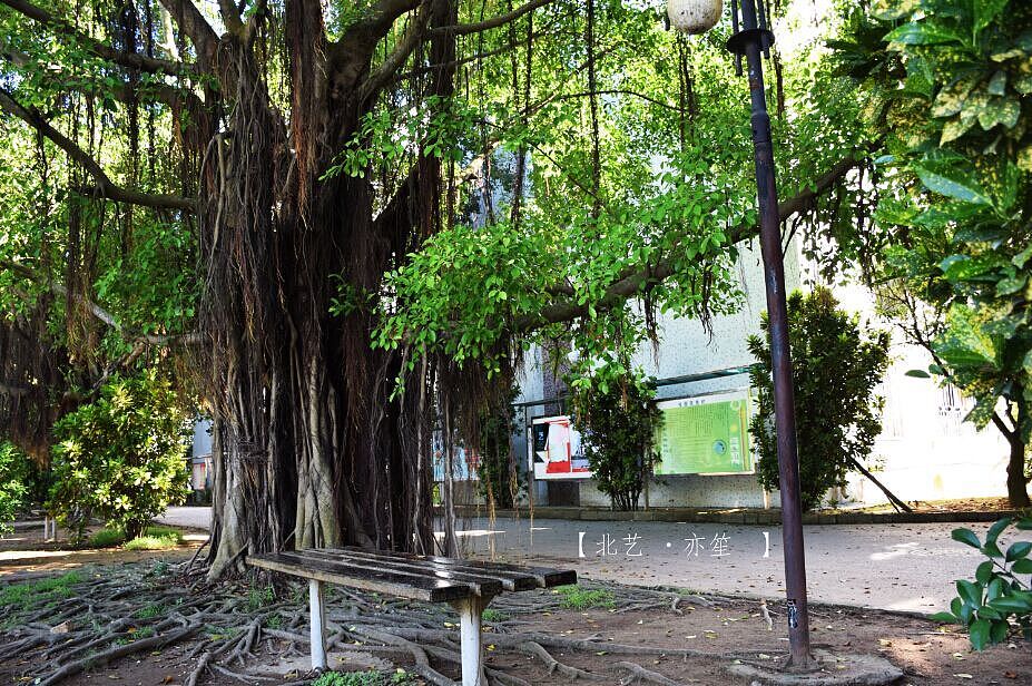 光和影（图ZMzI3NjY3MDQ=） - 风光摄影 - 站酷设计师亦笙olol原创素材 - 站酷ZCOOL