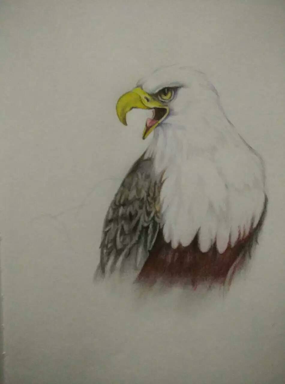 鹰击长空,鱼翔浅底!