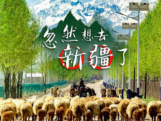 信息流作品-旅游类