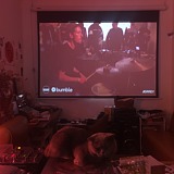 木粒子的头像